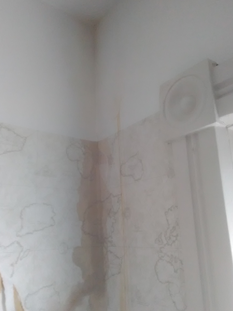 Goopy chimney inside wall leak