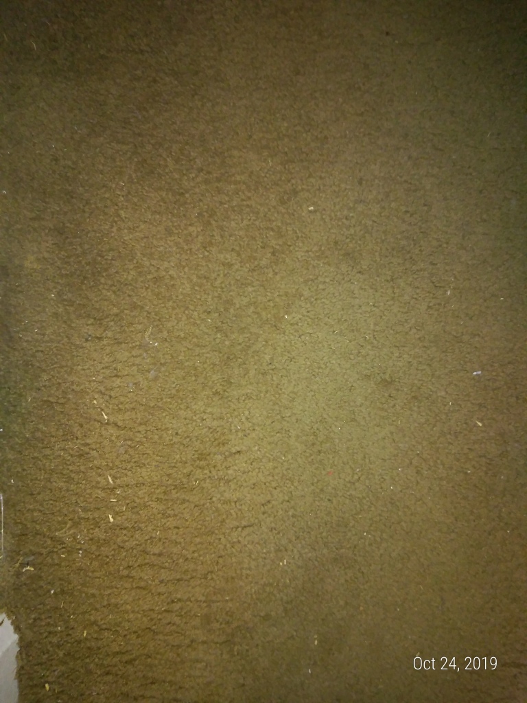 The brown carpet
