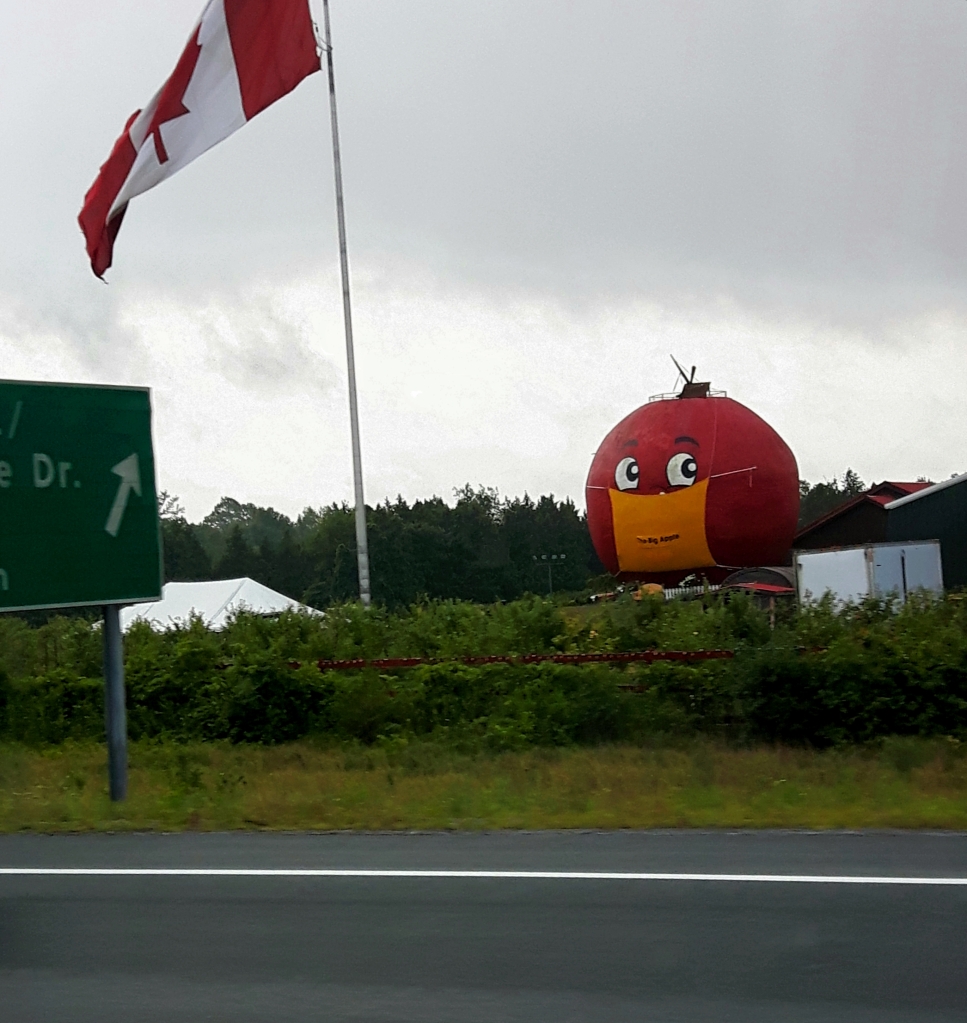Canadian Flag over a masked Big Apple near Coburg Ontario - 2020