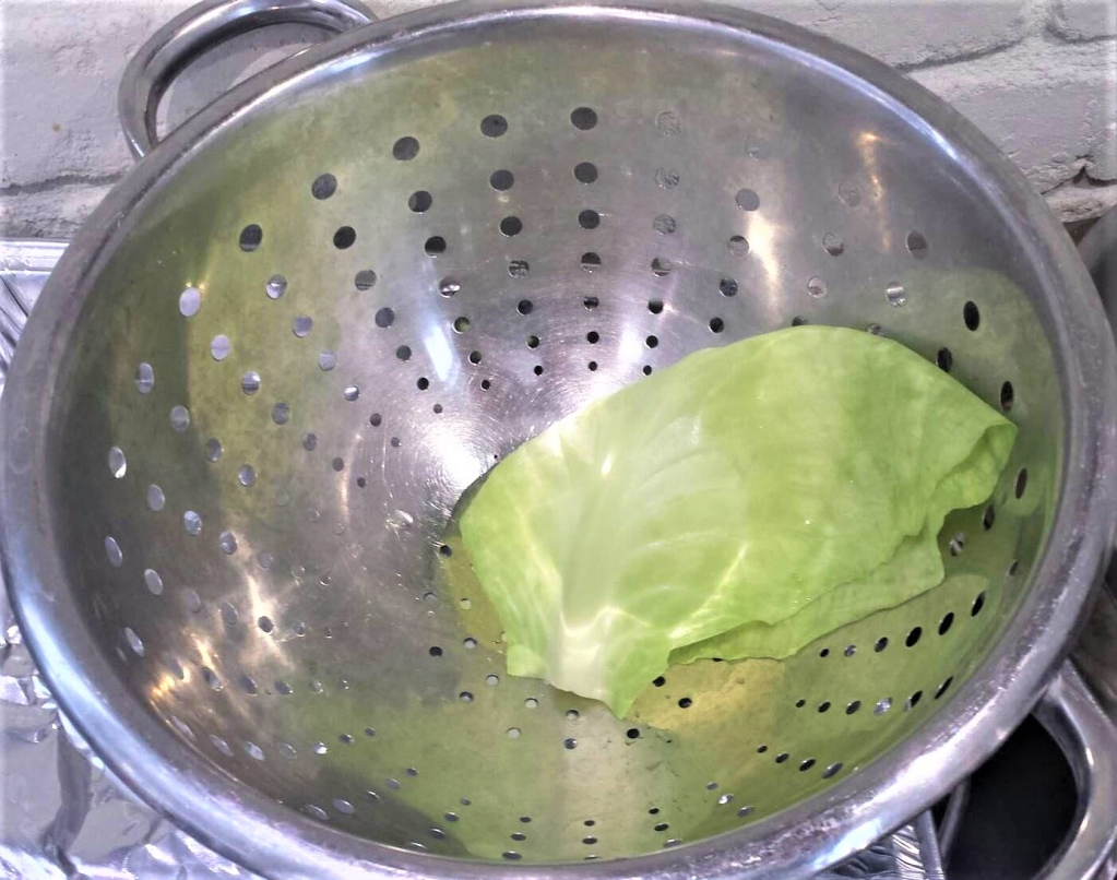 Boiled cabbage leaf