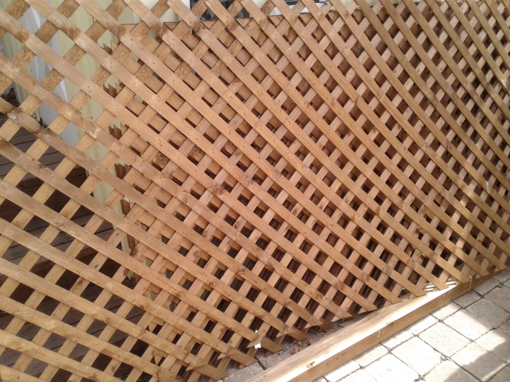 Lattice panels just delivered from Rona
