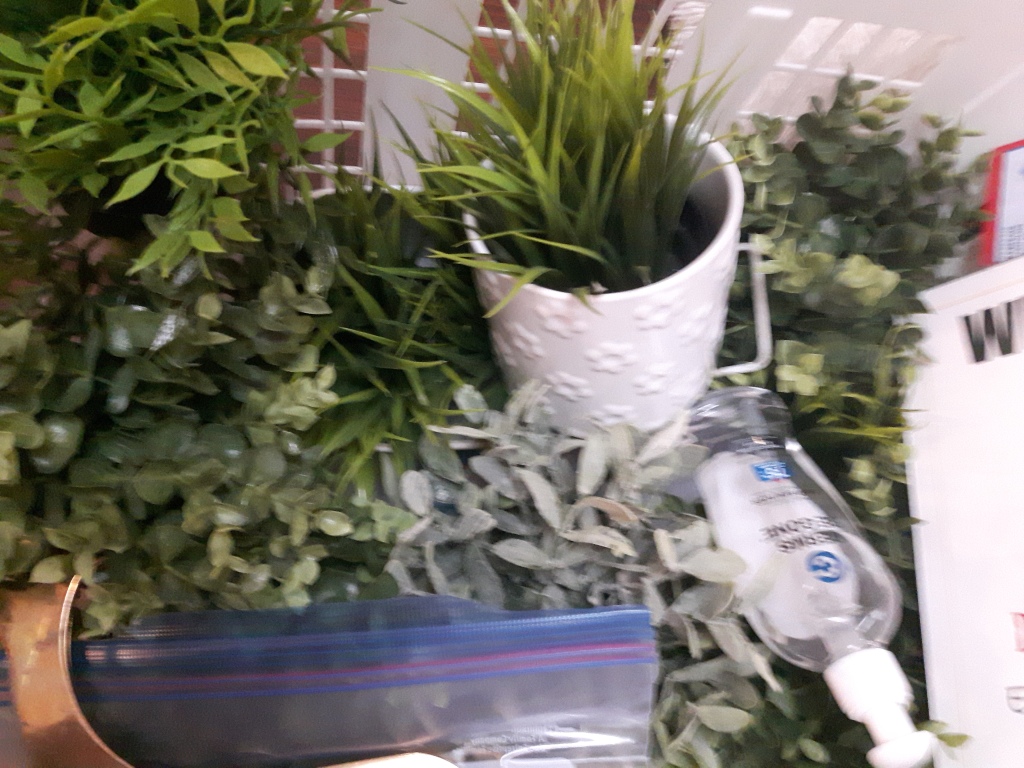 Home staging plants