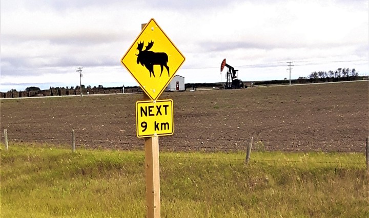 Manitoba Moose Crossing and Oil Well